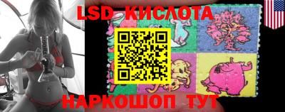 гидра Кимры