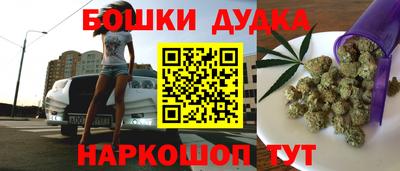 2c-b Кингисепп