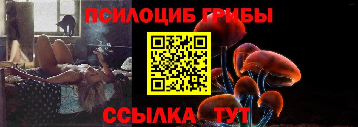 Королёв  купить наркоту  Вход с VPN  Галлюциногенные грибы прущие грибы 